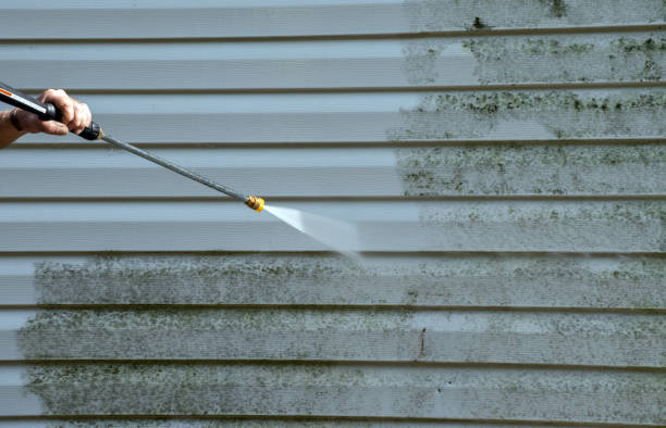 Best Roof Washing  in Pinole, CA