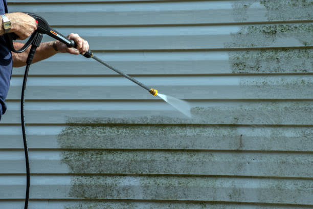 Best Driveway Pressure Washing  in Pinole, CA